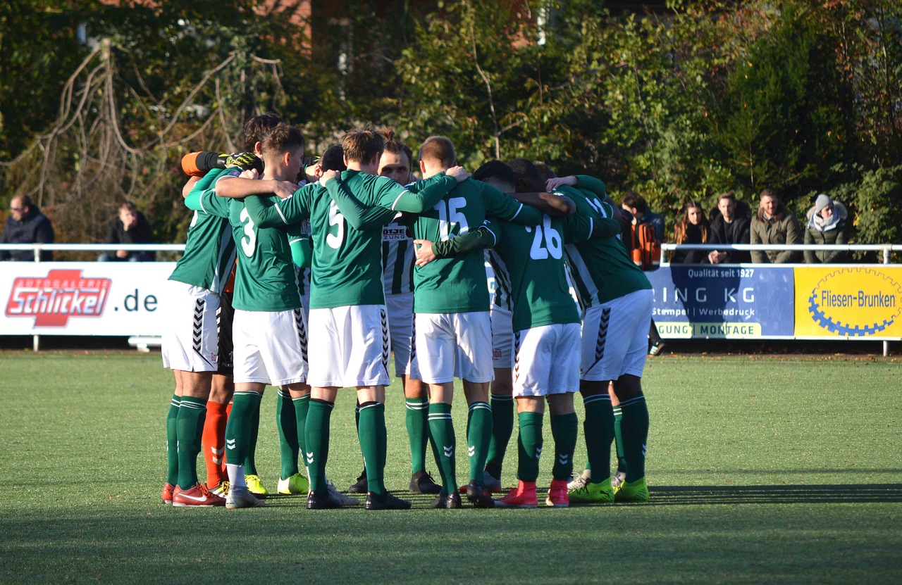 有嘴蓝骆驼：易点app详情下载教程