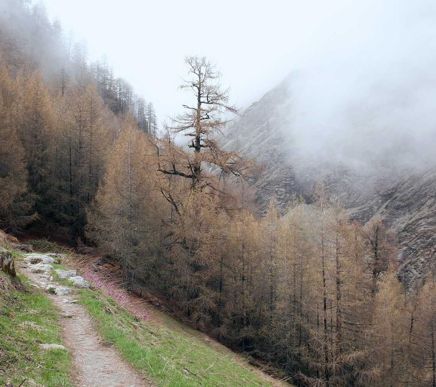 热血江湖手游辅助- 阜新炒外汇开户平台